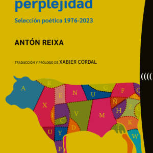 Enciclopedia perplejidad